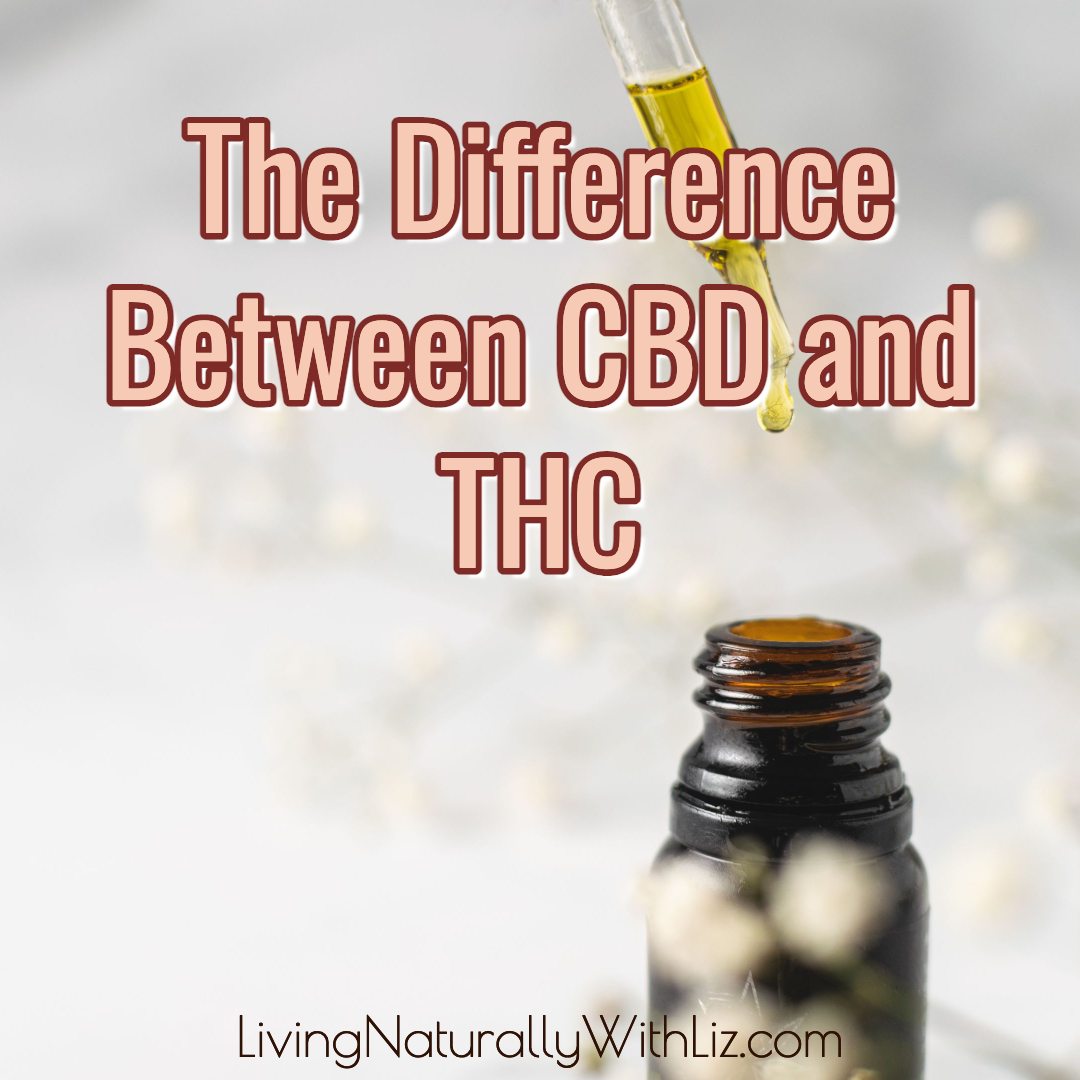 The Difference Between CBD and THC